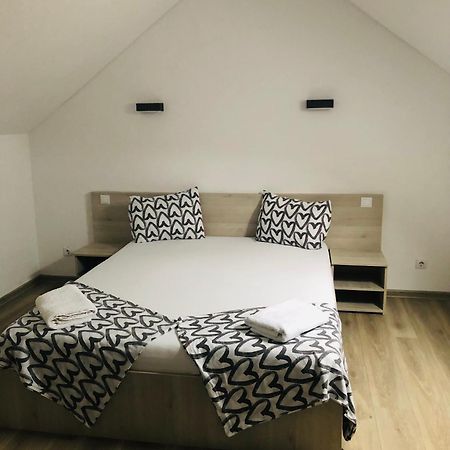 Vila Nona Apartment Sibiu Extérieur photo