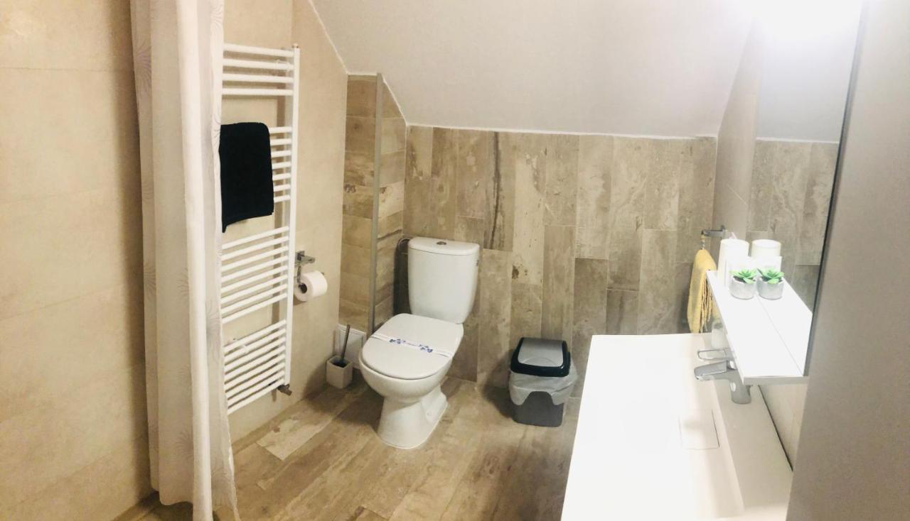 Vila Nona Apartment Sibiu Extérieur photo
